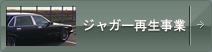 ジャガー再生事業